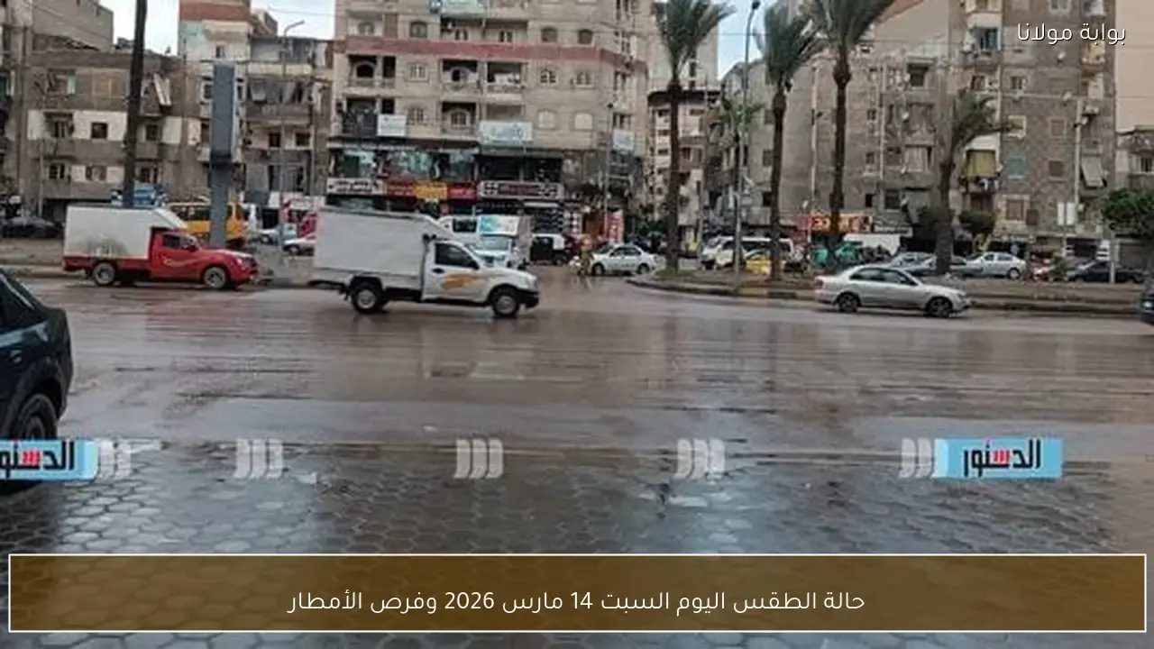 حالة الطقس السبت 14 مارس وفرص تساقط الأمطار في مختلف المناطق